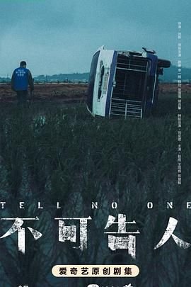 《不可告人电视剧完整版免费观看高清》2024 海报