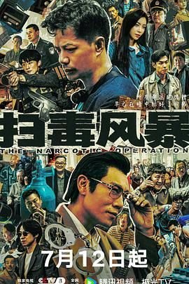 《扫毒风暴》电视剧在线观看- 全集国产剧 (2025) 海报