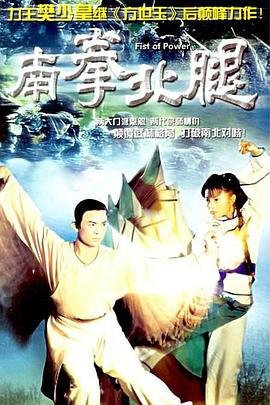 南拳北腿电视剧国语版免费观看 (1995) 海报