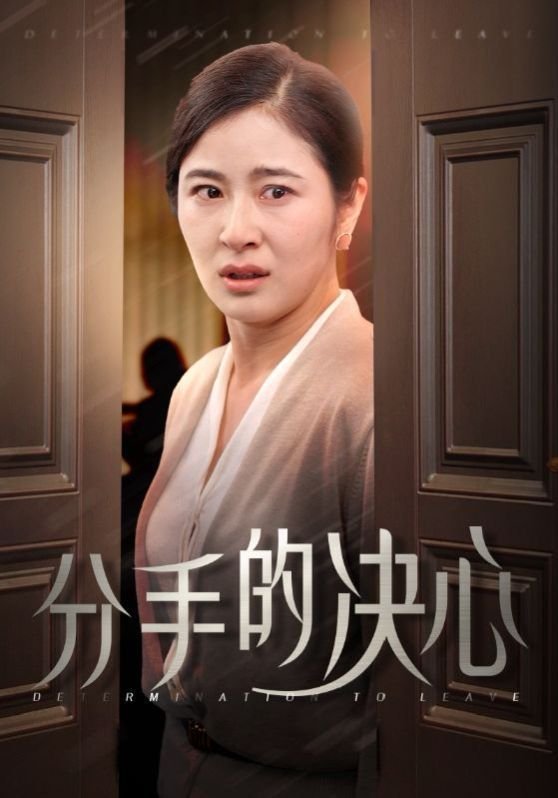 《《分手的决心》完整版在线观看电影无删减》2024 海报