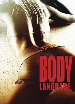 《美女免费高清在线观看电视剧全集 《美女与骑士》》2008 海报