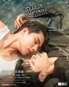 《日剧《海洋之恋 爱之归处》第1集高清免费在线观看完整版》2024 海报