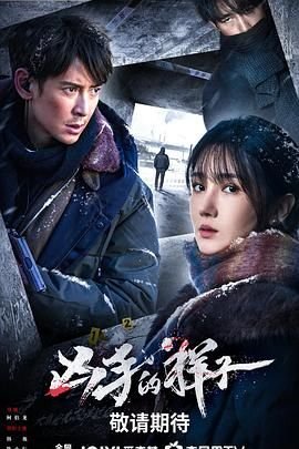 《凶手的样子》毛小明版高清在线免费观看