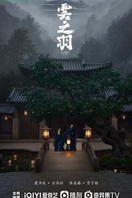 《《云之羽》电视剧高清完整版免费在线观看_国产剧》2023 海报