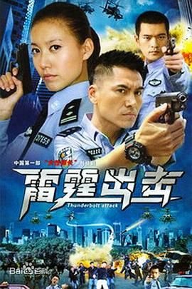 要案组雷霆出击完整版