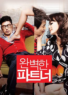 韩剧《完美搭档》电影免费在线观看高清完整版播放 (2011) 海报