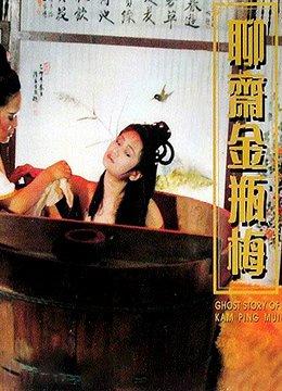 《聊斋金瓶梅》HD免费在线播放-全集电影 (1991) 海报