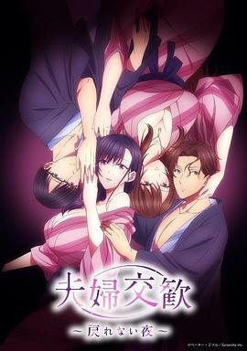 《夫妇联欢~回不去的夜晚~》全集高清在线观看_夫妇联欢~回不去的夜晚