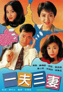 一夫三妻免费观看电视剧高清完整版