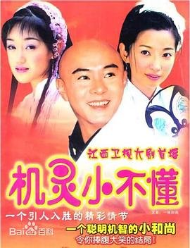 机灵小不懂电视剧全集免费观看 (2001) 海报