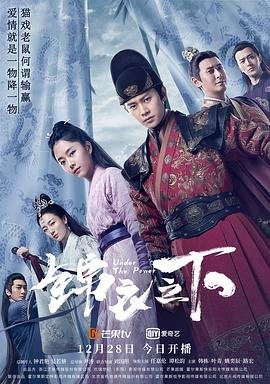 《锦衣之下》全集完整版免费在线观看_电视剧 (2019) 海报