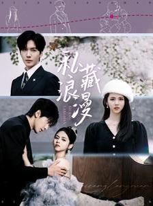 《《私藏浪漫》电视剧免费观看全集无删减版最新一集》2025 海报